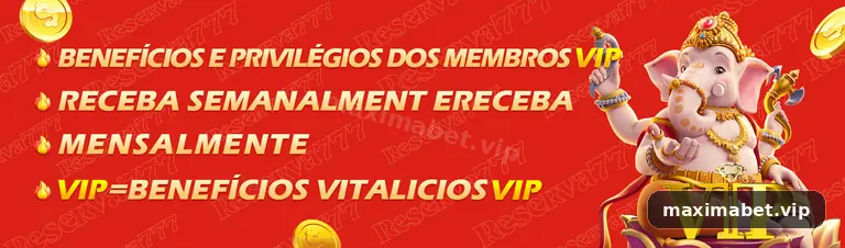 Campos de e-mail e senha na entrada da conta maxima bet